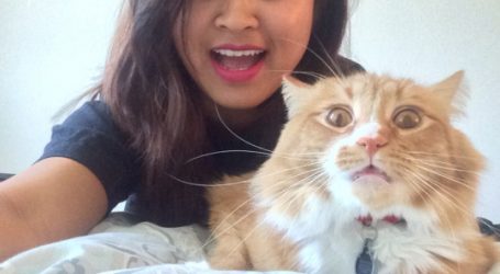 Cats Who Don’t Want To Be In Your Selfies