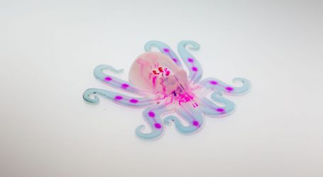 The World’s First Soft-Bodied Robot is an Octopus