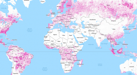 Interactive Map From Global Forest Watch