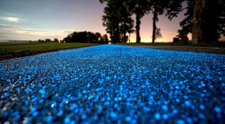 There Is A Glow-In-The-Dark Bicycle Track In Poland