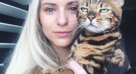 10 Times Cats Did Not Want to be in Your Pictures